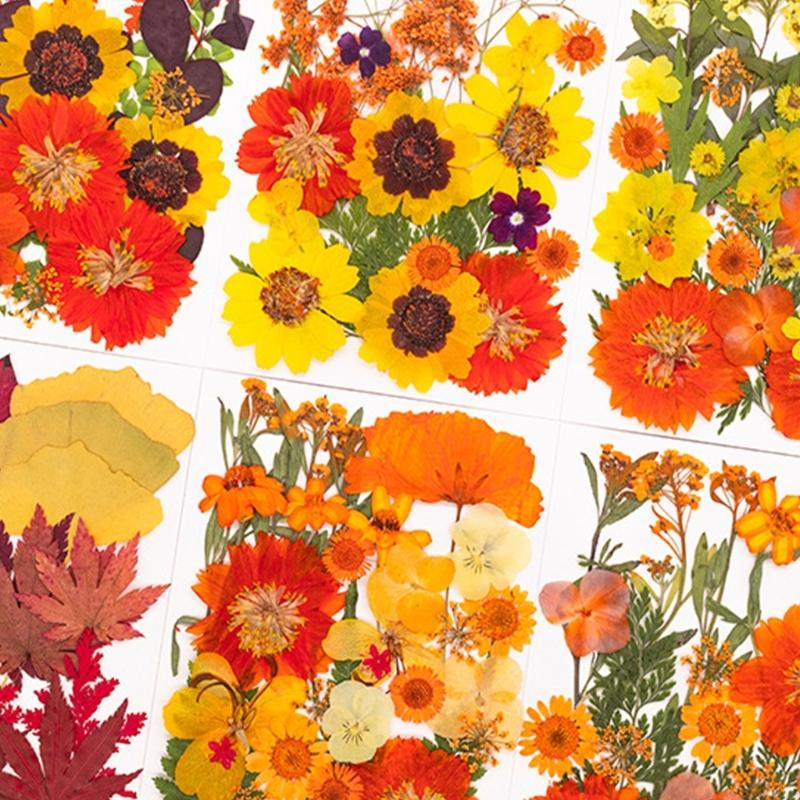 Resin Craft Ideas - Fiori pressati essiccati per stampi in