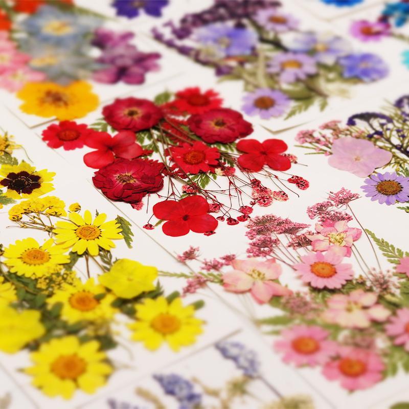 Resin Craft Ideas - Fiori Naturali Pressati e Essiccati per