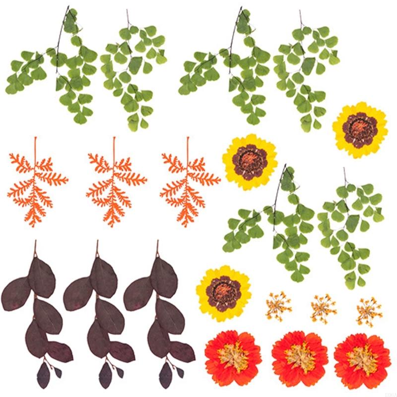 Fiori pressati essiccati per s - Resin Craft Ideas recensione e prezzo