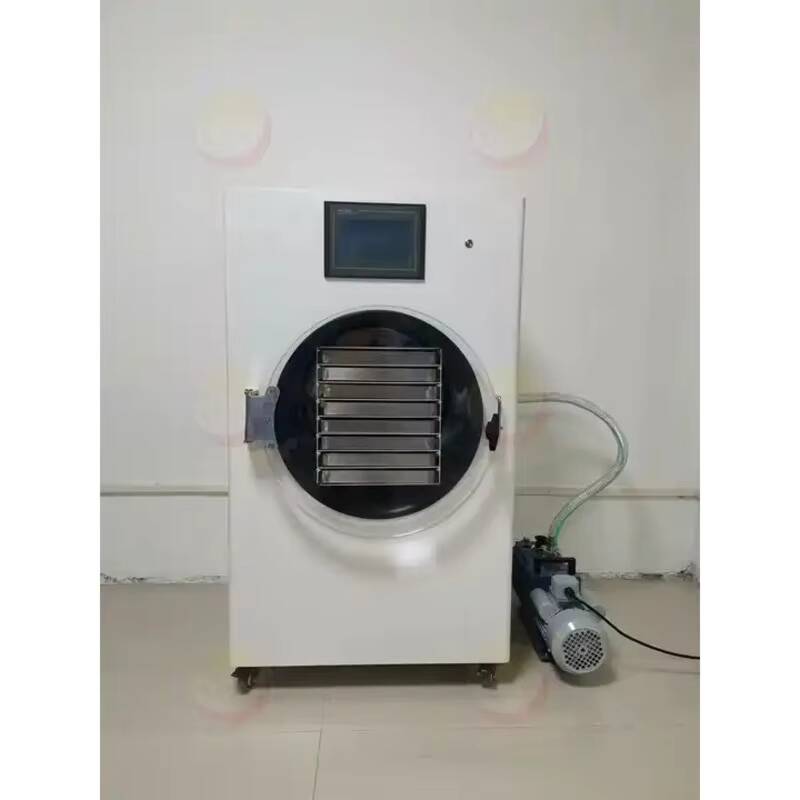 Macchina per liofilizzazione P - Vacuum Chamber Small recensione e prezzo